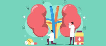 Adrenal Pack
