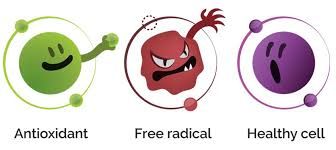 Antioxidant Pack
