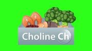 Choline
