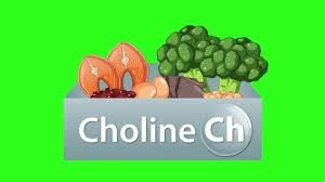 Choline