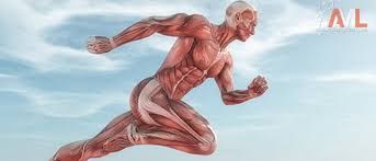 Citrulline