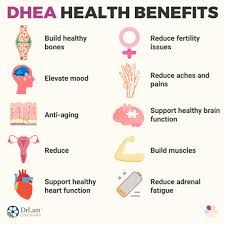 DHEA