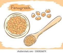 Fenugreek