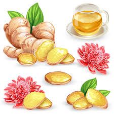 Ginger Root
