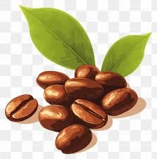 Green Coffee Extract