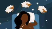 Herbal Sleep Blend