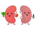 Kidney Pack