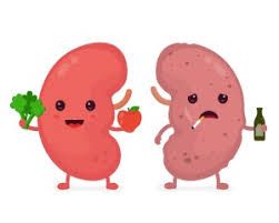 Kidney Pack