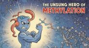 Methylation Support Pack