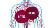 Nitric Oxide Pack for Men