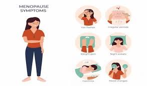 Perimenopausal Support Pack