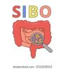 SIBO pm