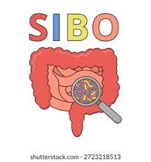 SIBO pm