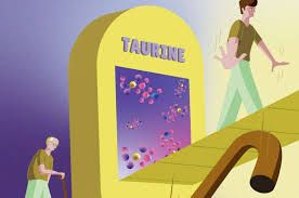 Taurine