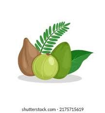 Triphala