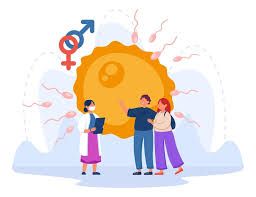 Women's Fertility