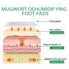 Ximonth Wormwood Foot Pads, Help Sleep Physical And Mental Foot Deep Cleaning Massage Patch