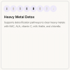 Heavy Metal Detox