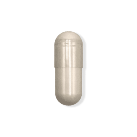 Creatine (Option: 30 Counts)