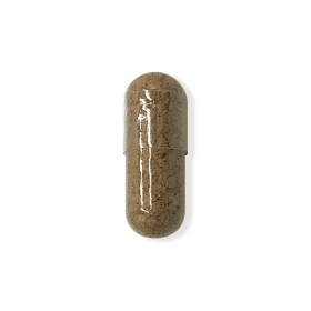 Lion's Mane (Option: 30 Counts)